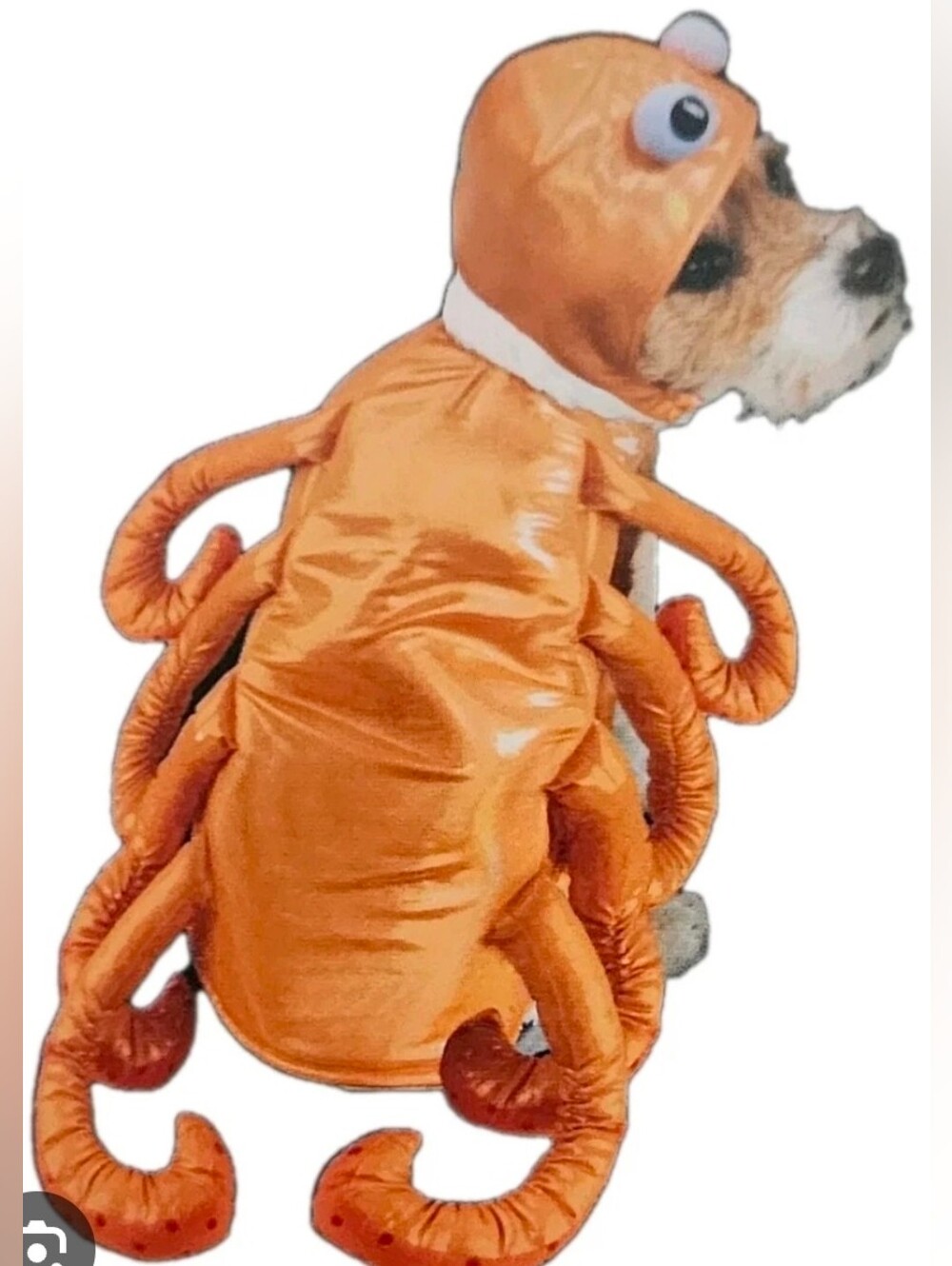 Orange Octopus Pet Costume for Dogs - Sz Large